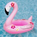 عجل سباحة برك وزة